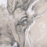 Sketch of animal II (Caribou) by Mercana Studio a Hand Embellished Textured Canvas from Mercana - Luna Furniture