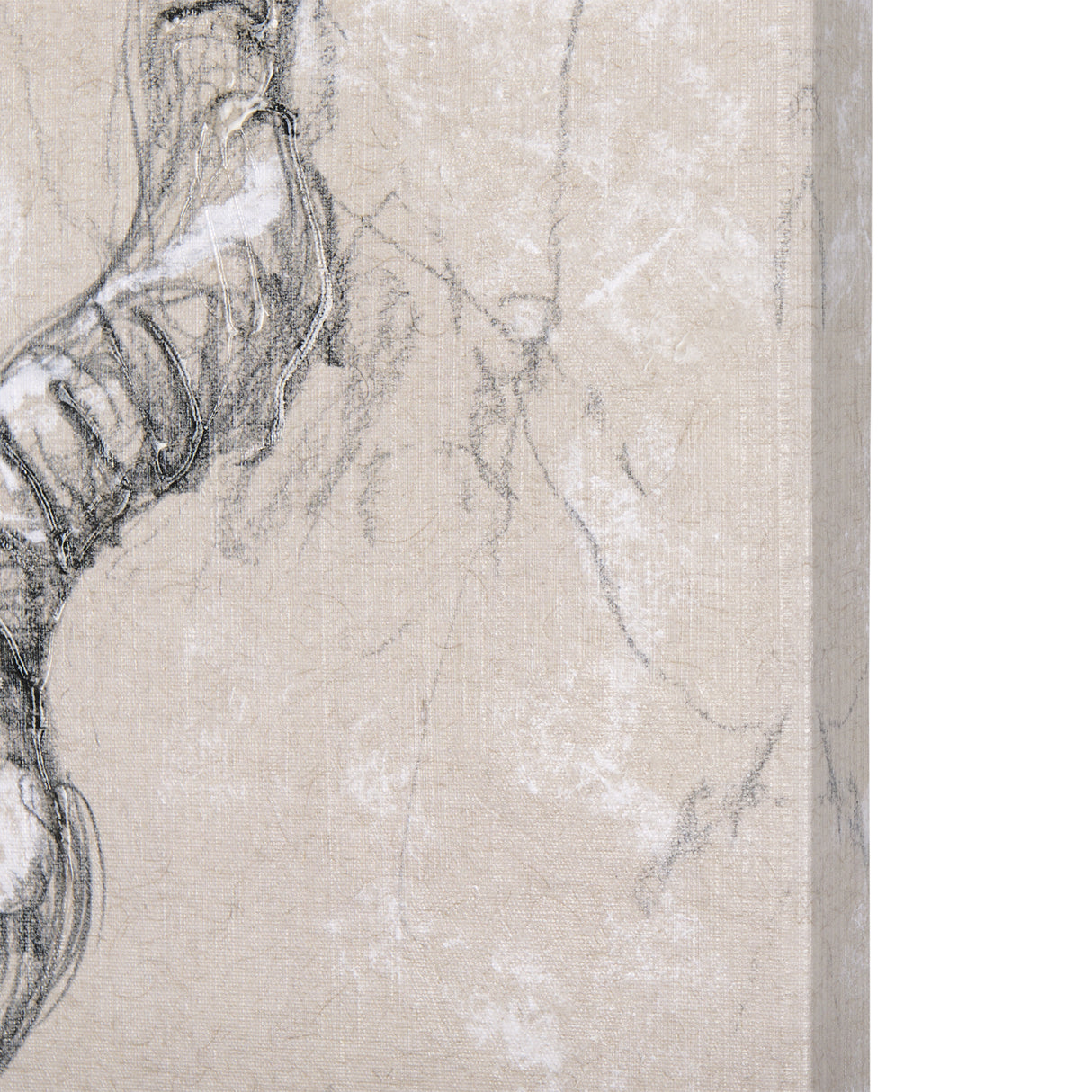 Sketch of animal III (Antelope) by Mercana Studio a Hand Embellished Textured Canvas from Mercana - Luna Furniture