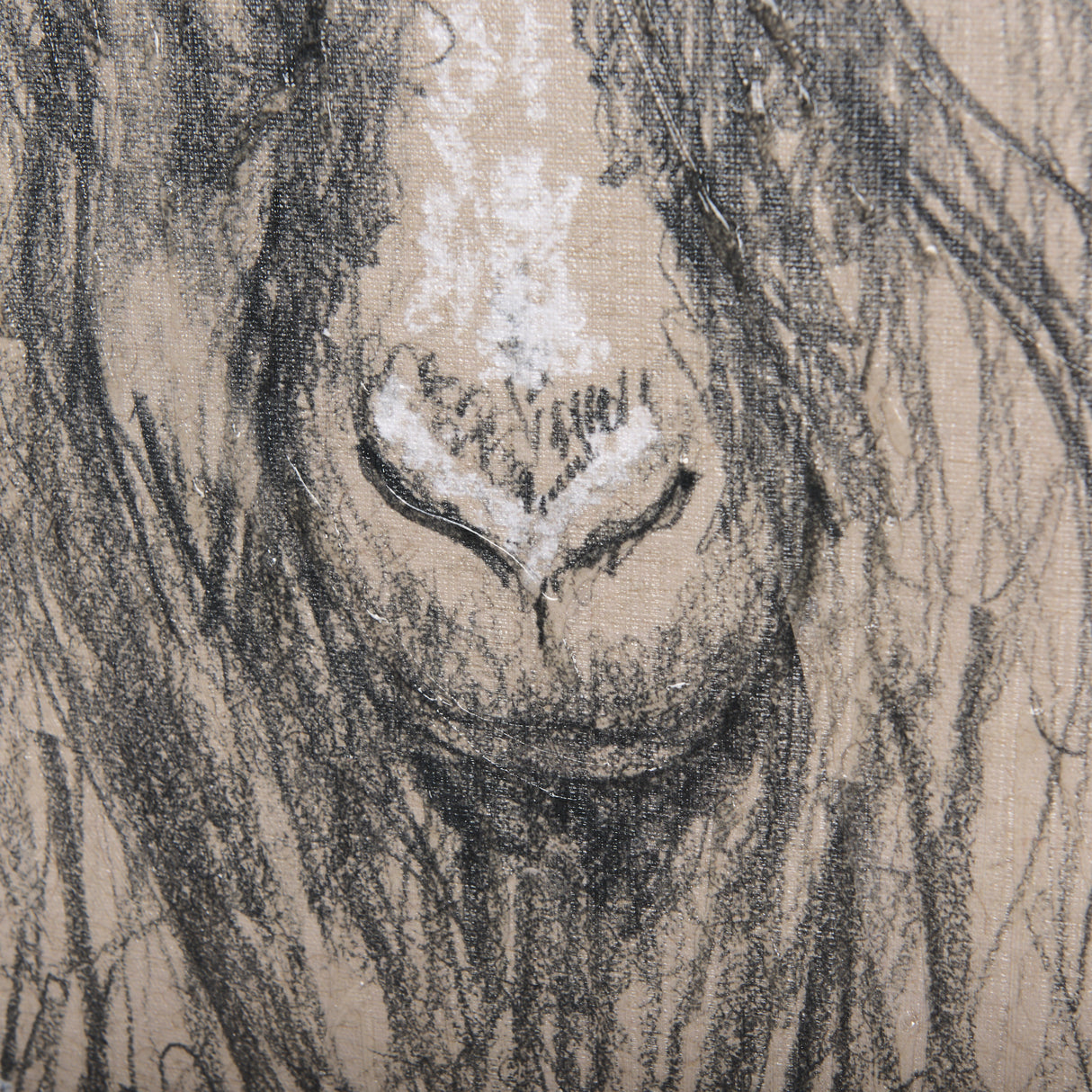 Sketch of animal V (Goat) by Mercana Studio a Hand Embellished Textured Canvas from Mercana - Luna Furniture