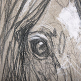Sketch of animal VII (Horse) by Mercana Studio a Hand Embellished Textured Canvas from Mercana - Luna Furniture