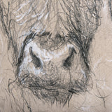 Sketch of animal VIII (Highland bull) by Mercana Studio a Hand Embellished Textured Canvas from Mercana - Luna Furniture