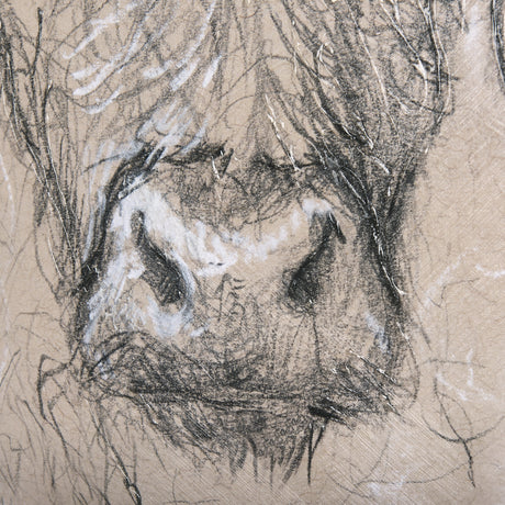 Sketch of animal VIII (Highland bull) by Mercana Studio a Hand Embellished Textured Canvas from Mercana - Luna Furniture