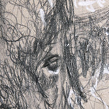 Sketch of animal IX (Bison) by Mercana Studio a Hand Embellished Textured Canvas from Mercana - Luna Furniture