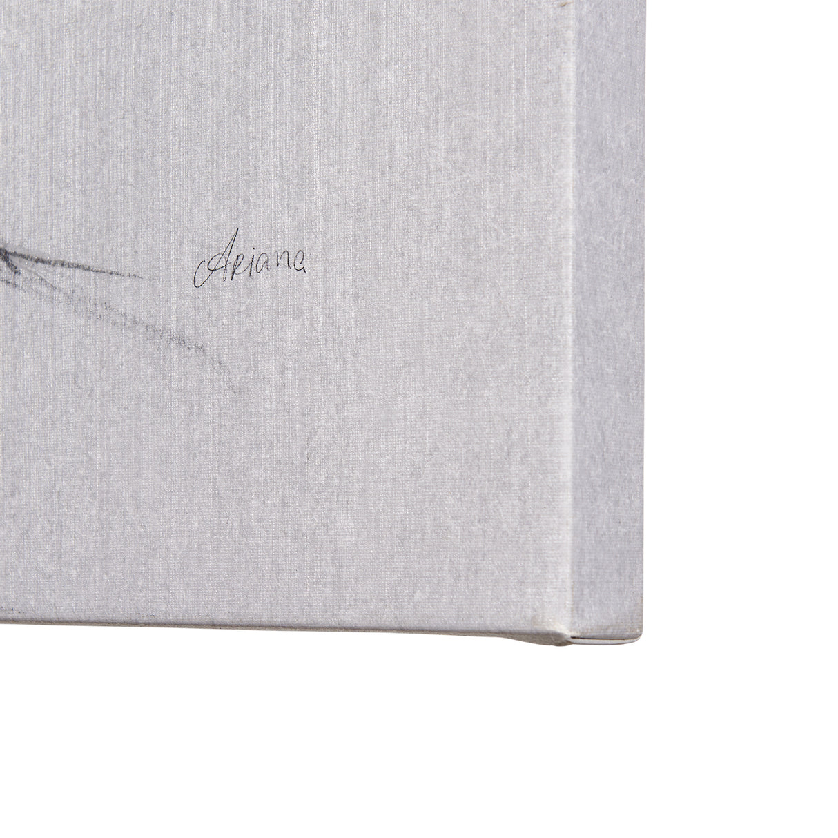 Botanical sketches IV (Grey) by Mercana Studio a Hand Embellished Textured Canvas from Mercana - Luna Furniture