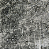 West Coast Chronicles II by Mercana Studio a Hand Embellished Textured Canvas from Mercana - Luna Furniture