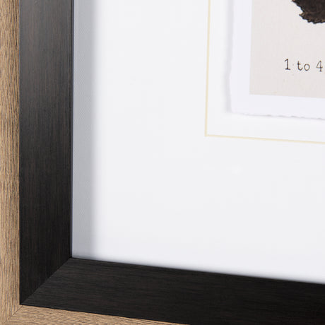 Autumnal Leaves VI by Vision Studio a Framed Art Print Matted under Glass from Mercana - Luna Furniture