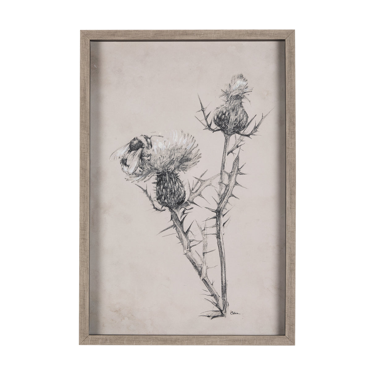 Thistle With Bumblebee Drawing IV Mercana Studio Hand Embellished Framed Art Print Matted under Glas from Mercana - Luna Furniture