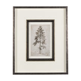 Westcoast Tree Drawing II by Mercana Studio Hand Embellished Framed Art Print Matted under Glass from Mercana - Luna Furniture