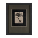 Tree Drawing III by Mercana Studio a Hand Embellished Textured Framed Art Print Matted under Glass from Mercana - Luna Furniture