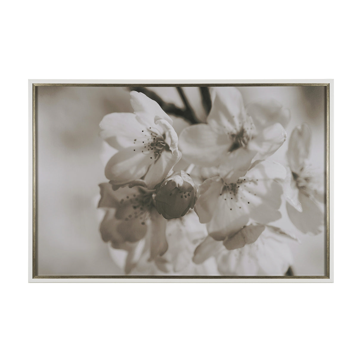 Soft Petals I by Nancy Crowell a Hand Embellished Textured Framed Photo Art Print Matted under Glass from Mercana - Luna Furniture