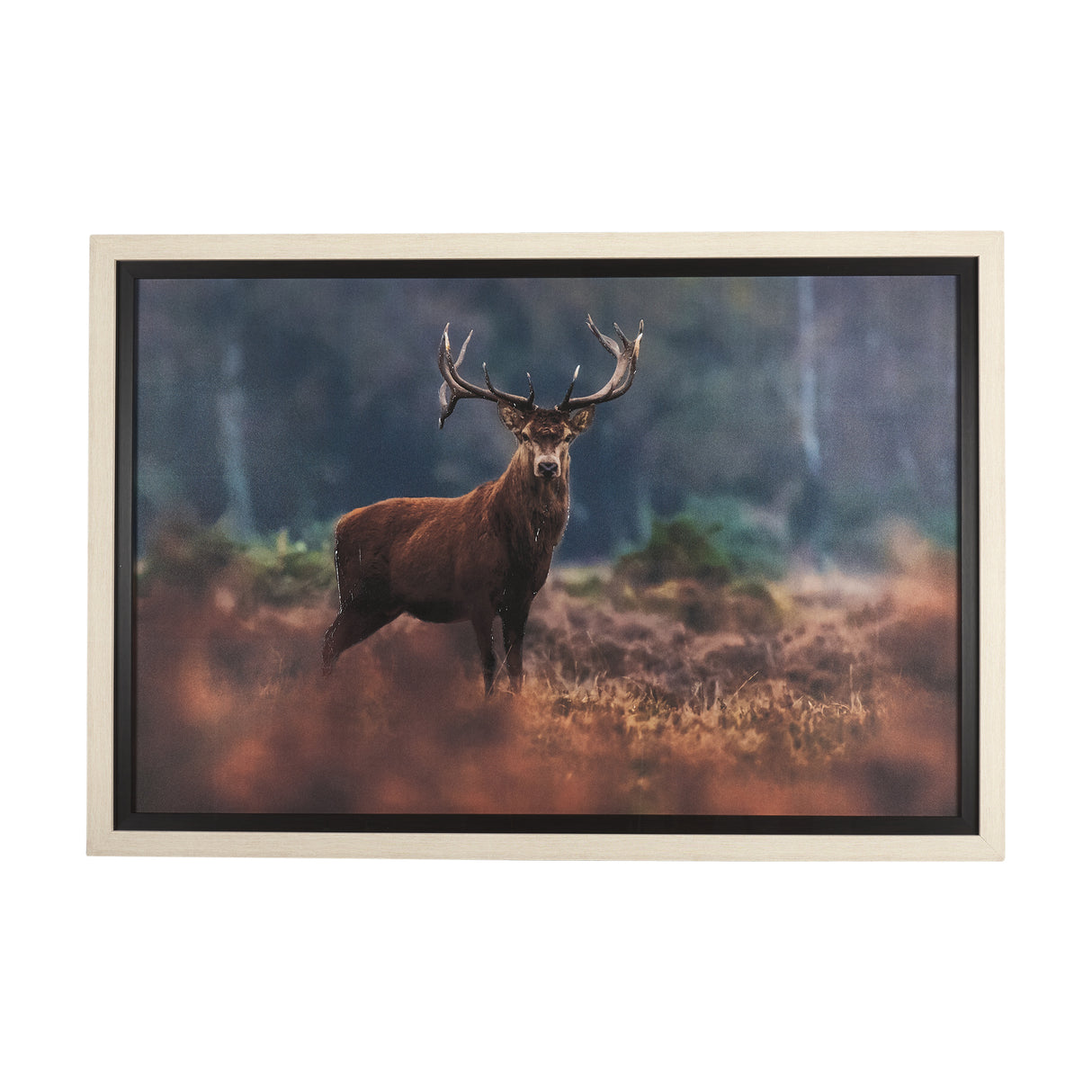 Glorious Stag by Mercana Studio a Hand Embellished Textured Framed Photo Art Print Matted under Glas from Mercana - Luna Furniture