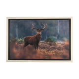 Glorious Stag by Mercana Studio a Hand Embellished Textured Framed Photo Art Print Matted under Glas from Mercana - Luna Furniture