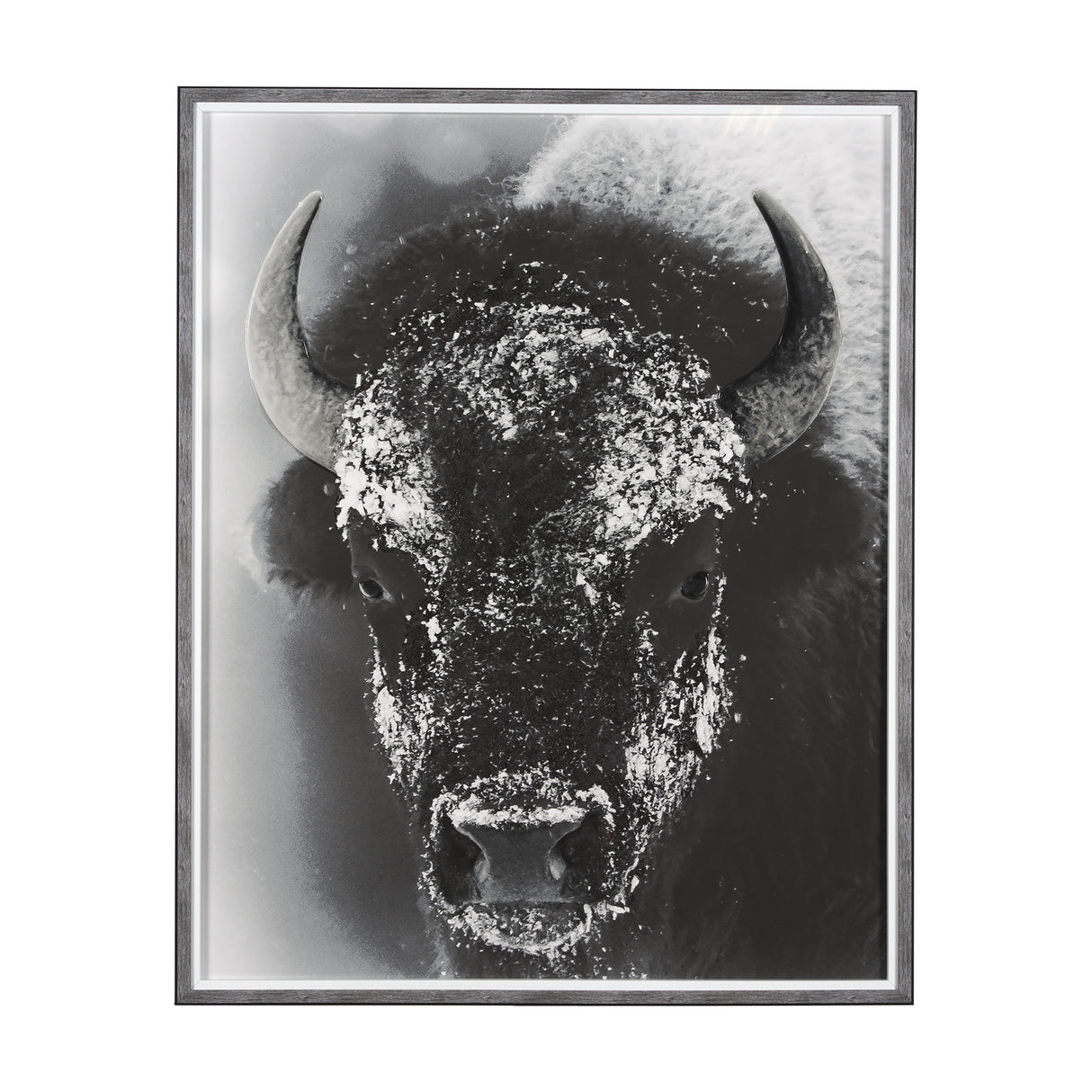 Snow Mask by Mercana Studio a Hand Embellished Textured Framed Photo Art Print Matted under Glass from Mercana - Luna Furniture