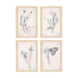 Chamomile Drawing I by Mercana Studio a Hand Embellished Textured Framed Art Print from Mercana - Luna Furniture