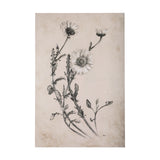 Chamomile Drawing I by Mercana Studio a Hand Embellished Textured Canvas from Mercana - Luna Furniture