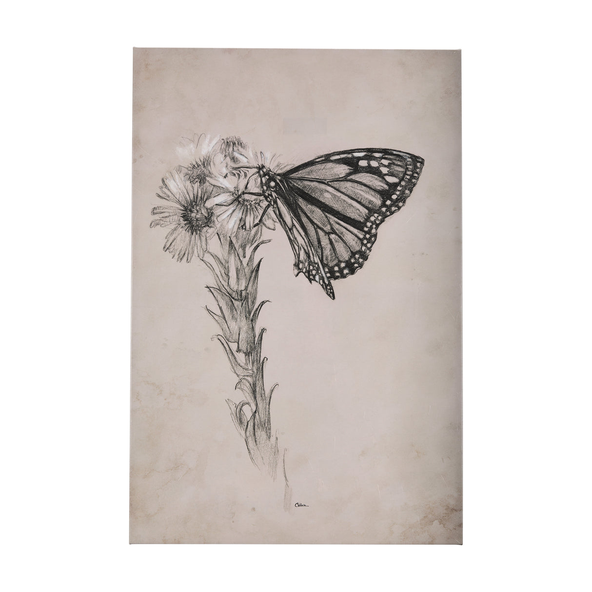 Wild Aster With Monarch Butterfly Drawing III by Mercana Studio a Hand Embellished Textured Canvas from Mercana - Luna Furniture