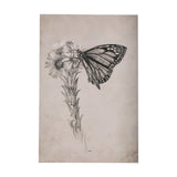 Wild Aster With Monarch Butterfly Drawing III by Mercana Studio a Hand Embellished Textured Canvas from Mercana - Luna Furniture
