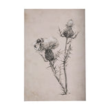 Thistle With Bumblebee Drawing IV by Mercana Studio a Hand Embellished Textured Canvas from Mercana - Luna Furniture
