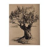 Tree Drawing I by Mercana Studio a Hand Embellished Textured Canvas from Mercana - Luna Furniture