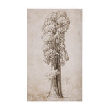 Westcoast Tree Drawing I by Mercana Studio a Hand Embellished Textured Canvas from Mercana - Luna Furniture