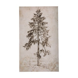 Westcoast Tree Drawing II by Mercana Studio a Hand Embellished Textured Canvas from Mercana - Luna Furniture
