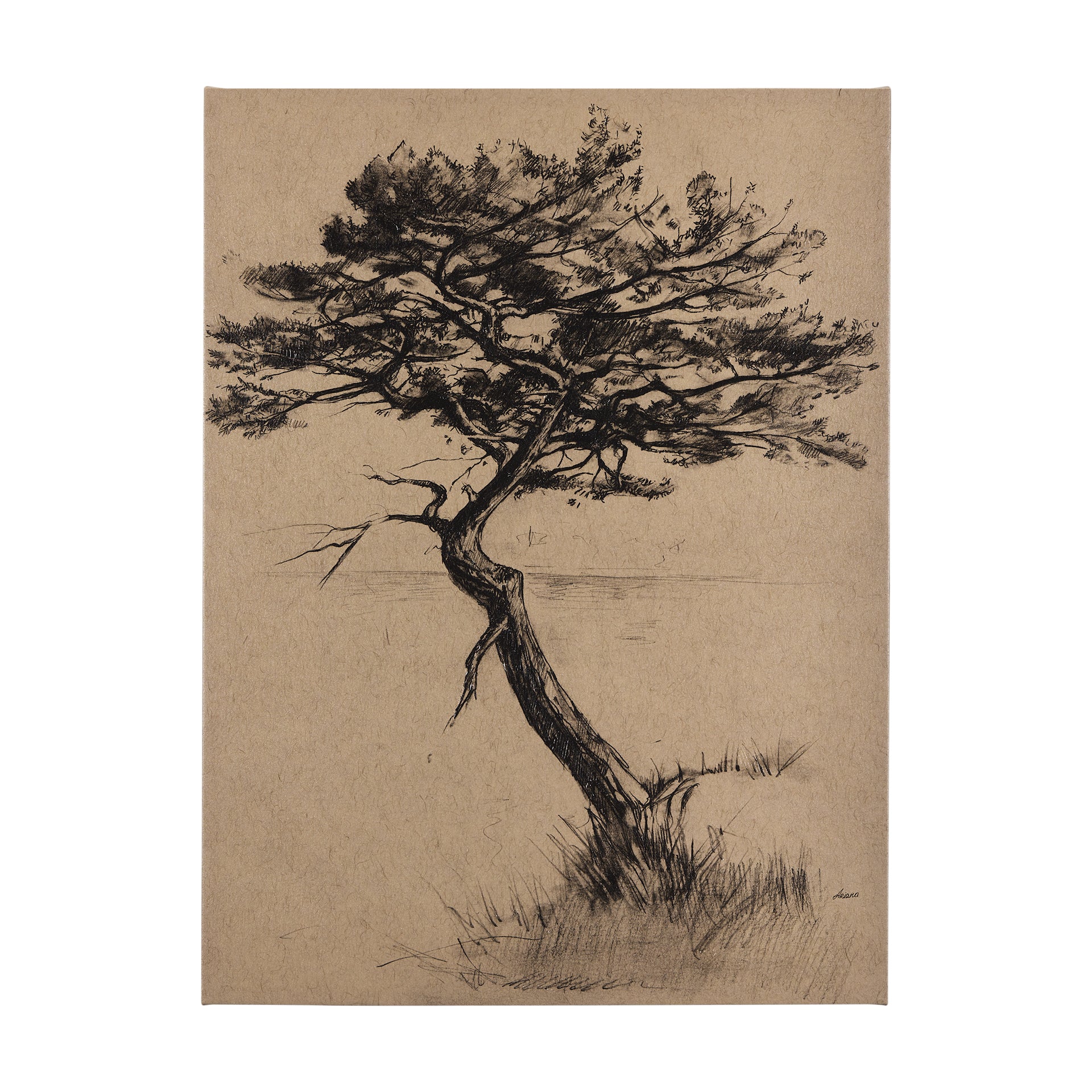 絵画 TREE Tree Drawing III by Mercana Studio a Hand Embellished Textured