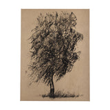 Tree Drawing II by Mercana Studio a Hand Embellished Textured Canvas from Mercana - Luna Furniture
