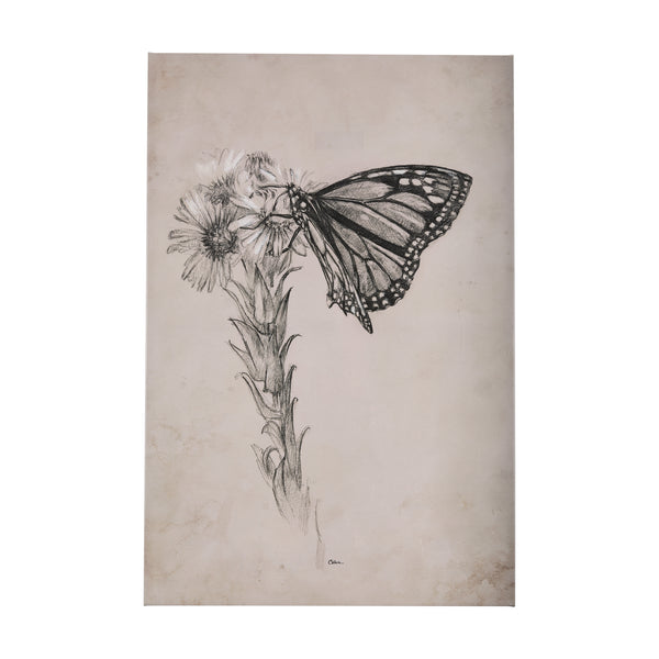 Wild Aster With  Monarch Butterfly Drawing III by Mercana Studio a Hand Embellished Textured Canvas