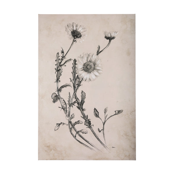 Chamomile Drawing I by Mercana Studio a Hand Embellished Textured Canvas