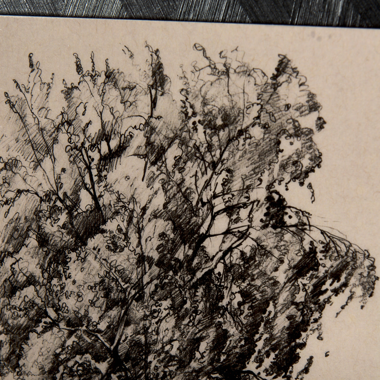Tree Drawing II by Mercana Studio a Hand Embellished Textured Framed Art Print Matted under Glass from Mercana - Luna Furniture