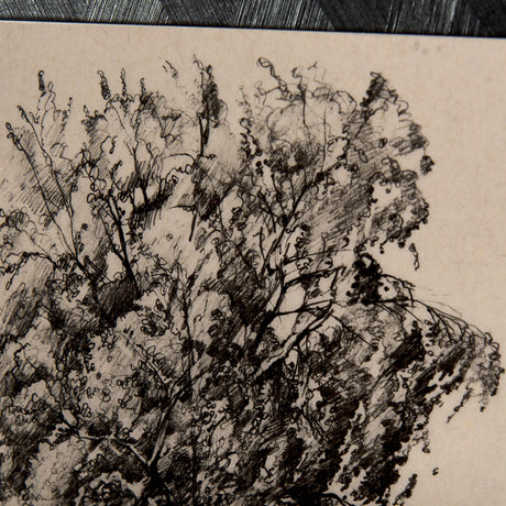 Tree Drawing II by Mercana Studio a Hand Embellished Textured Framed Art Print Matted under Glass from Mercana - Luna Furniture