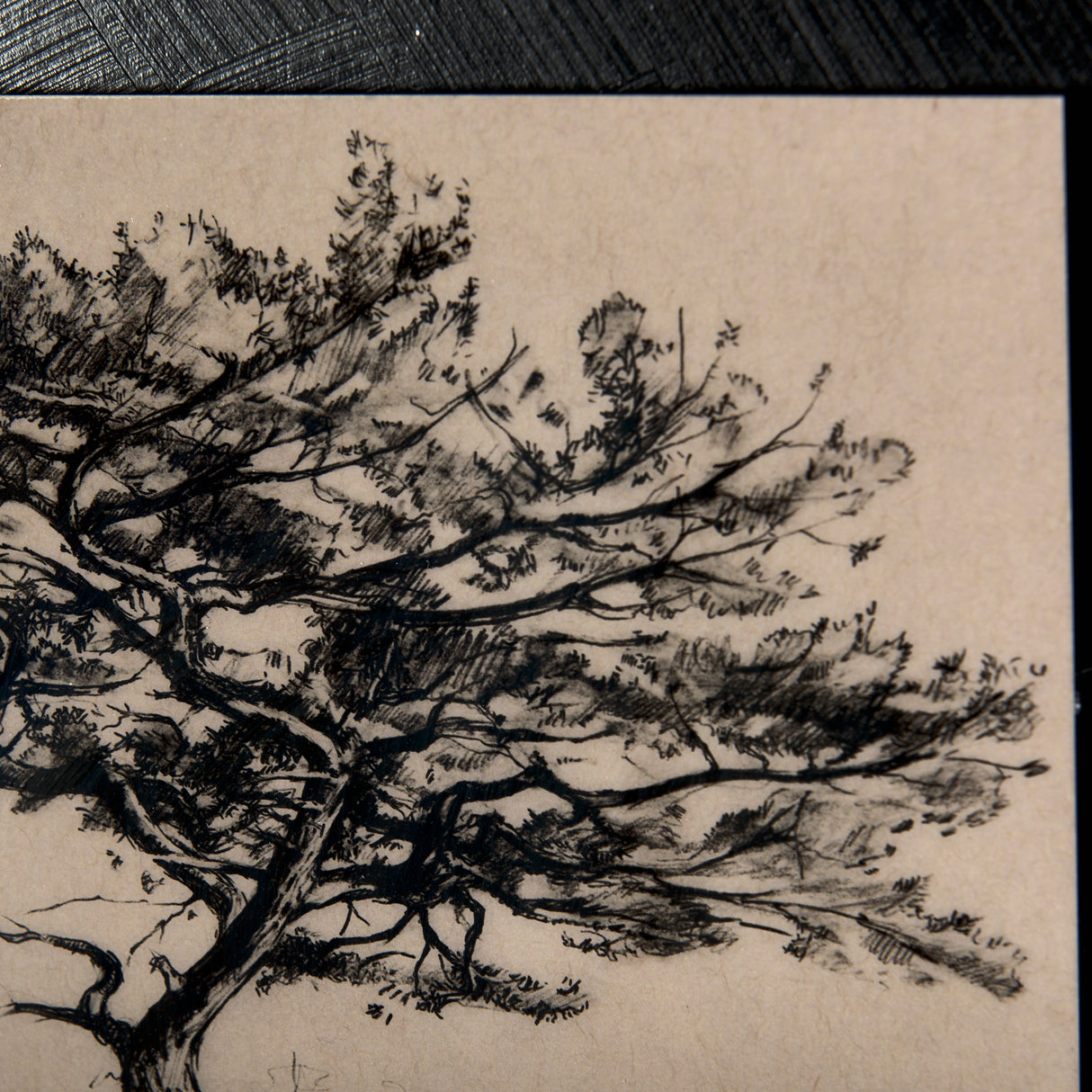 Tree Drawing III by Mercana Studio a Hand Embellished Textured Framed Art Print Matted under Glass from Mercana - Luna Furniture