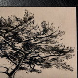 Tree Drawing III by Mercana Studio a Hand Embellished Textured Framed Art Print Matted under Glass from Mercana - Luna Furniture