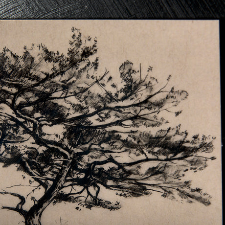 Tree Drawing III by Mercana Studio a Hand Embellished Textured Framed Art Print Matted under Glass from Mercana - Luna Furniture