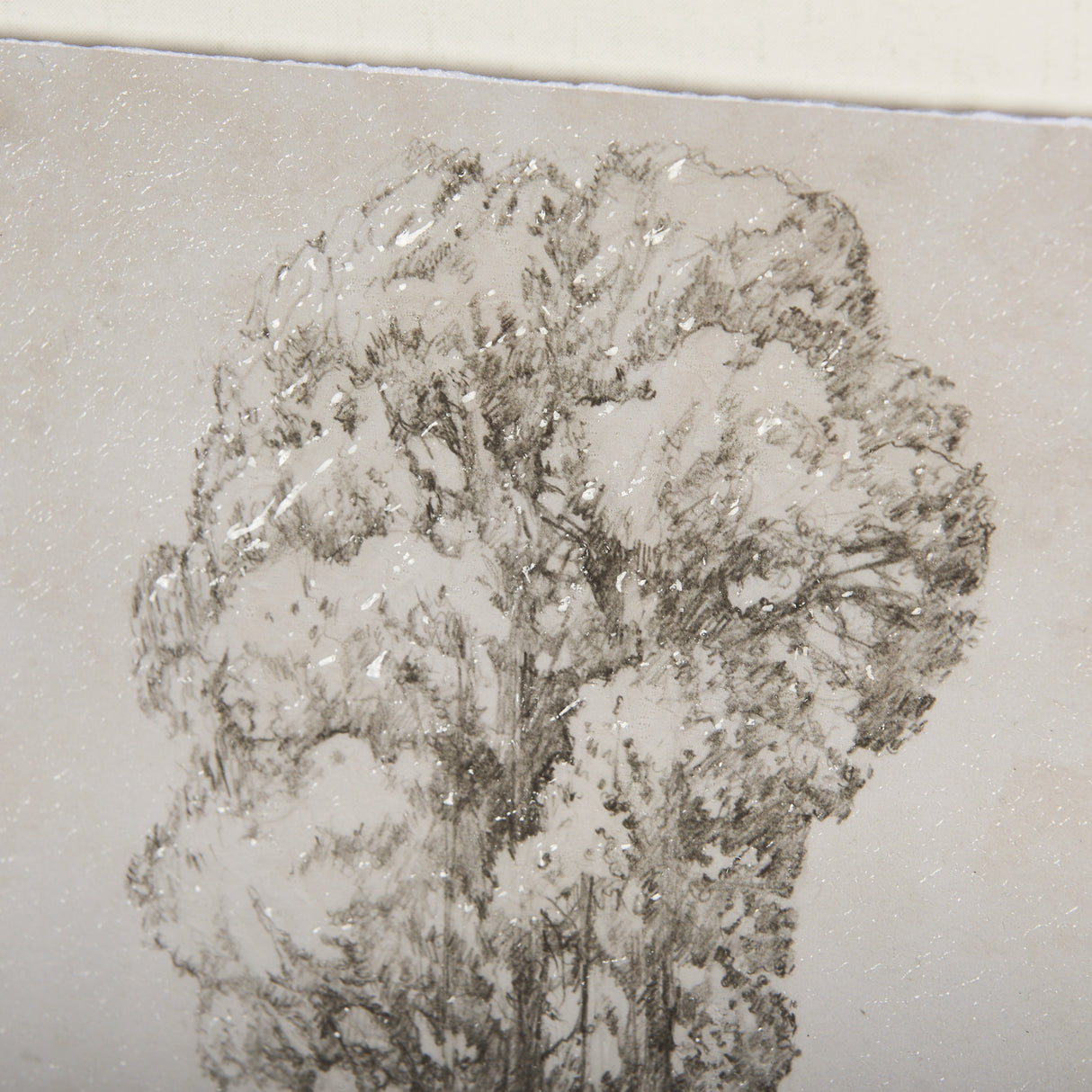 Westcoast Tree Drawing I by Mercana Studio Hand Embellished Framed Art Print Matted under Glass from Mercana - Luna Furniture