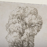 Westcoast Tree Drawing I by Mercana Studio Hand Embellished Framed Art Print Matted under Glass from Mercana - Luna Furniture