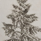 Westcoast Tree Drawing II by Mercana Studio Hand Embellished Framed Art Print Matted under Glass from Mercana - Luna Furniture