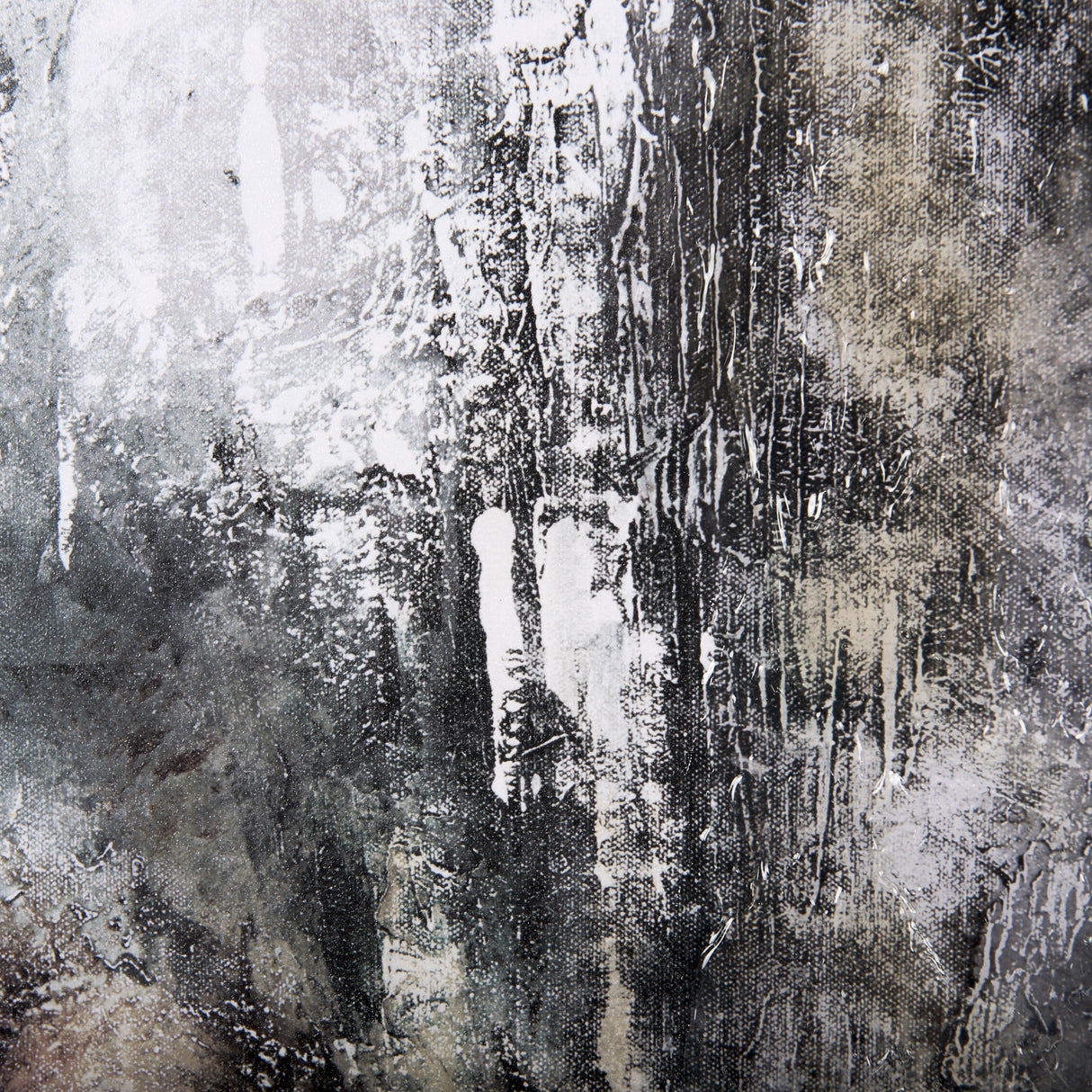 Saguaro Forest 31 by Scott Brems a Hand Embellished Textured Framed Art Print from Mercana - Luna Furniture