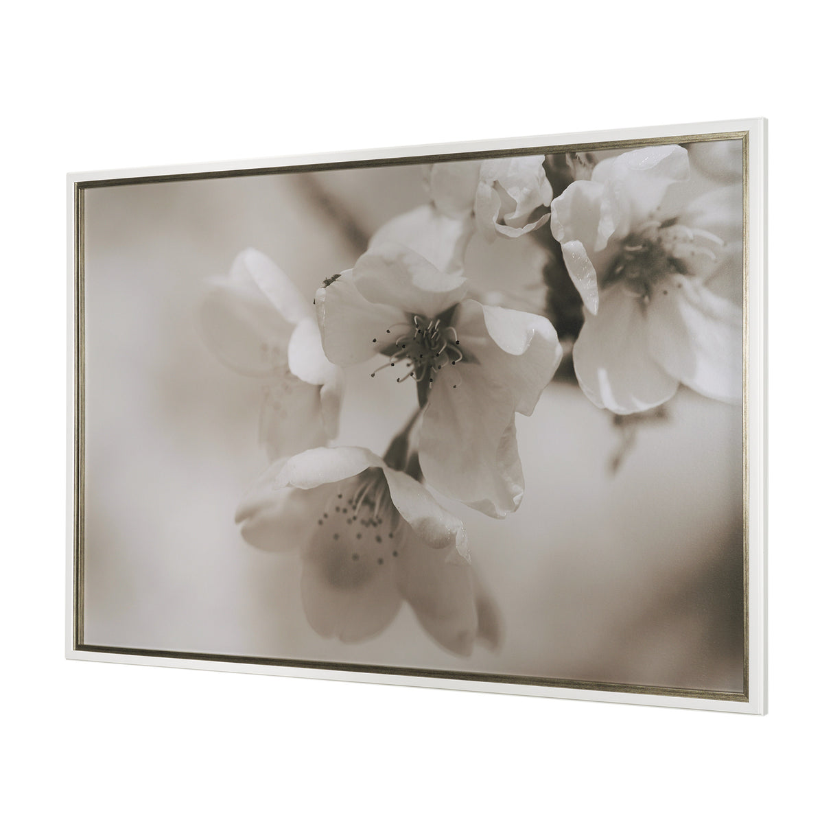 Soft Petals II by Nancy Crowell a Hand Embellished Textured Framed Photo Art Print Matted under Glas from Mercana - Luna Furniture