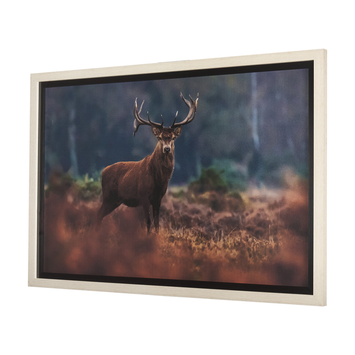 Glorious Stag by Mercana Studio a Hand Embellished Textured Framed Photo Art Print Matted under Glas from Mercana - Luna Furniture