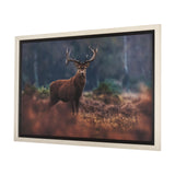 Glorious Stag by Mercana Studio a Hand Embellished Textured Framed Photo Art Print Matted under Glas from Mercana - Luna Furniture
