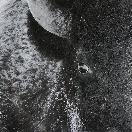 A Struggle by Mercana Studio a Hand Embellished Textured Framed Photo Art Print Matted under Glass from Mercana - Luna Furniture