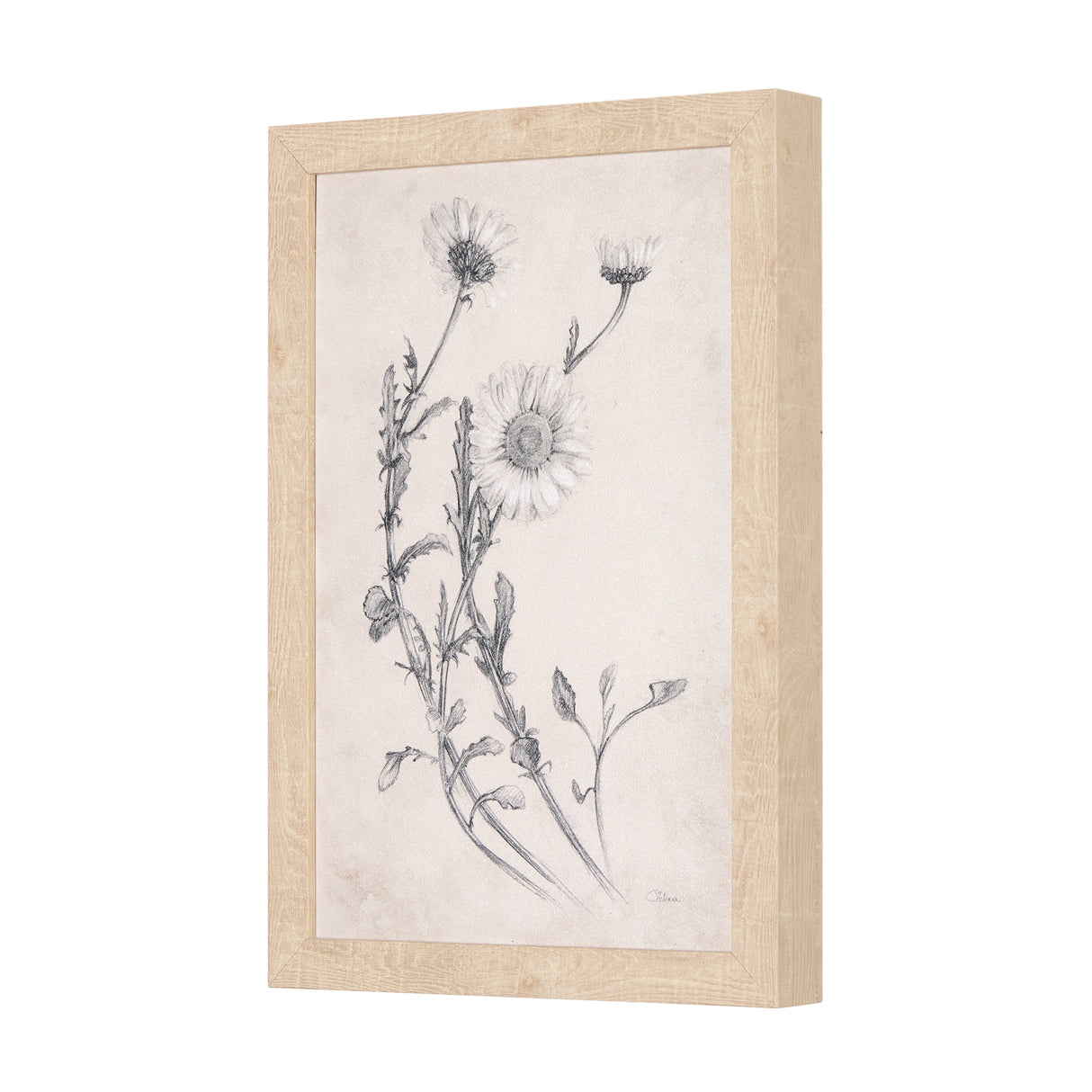 Chamomile Drawing I by Mercana Studio a Hand Embellished Textured Framed Art Print from Mercana - Luna Furniture