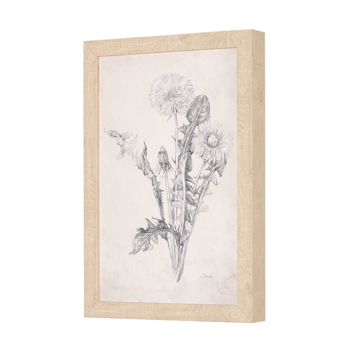 Chamomile Drawing I by Mercana Studio a Hand Embellished Textured Framed Art Print from Mercana - Luna Furniture