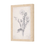 Chamomile Drawing I by Mercana Studio a Hand Embellished Textured Framed Art Print from Mercana - Luna Furniture