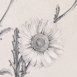 Chamomile Drawing I by Mercana Studio a Hand Embellished Textured Framed Art Print from Mercana - Luna Furniture