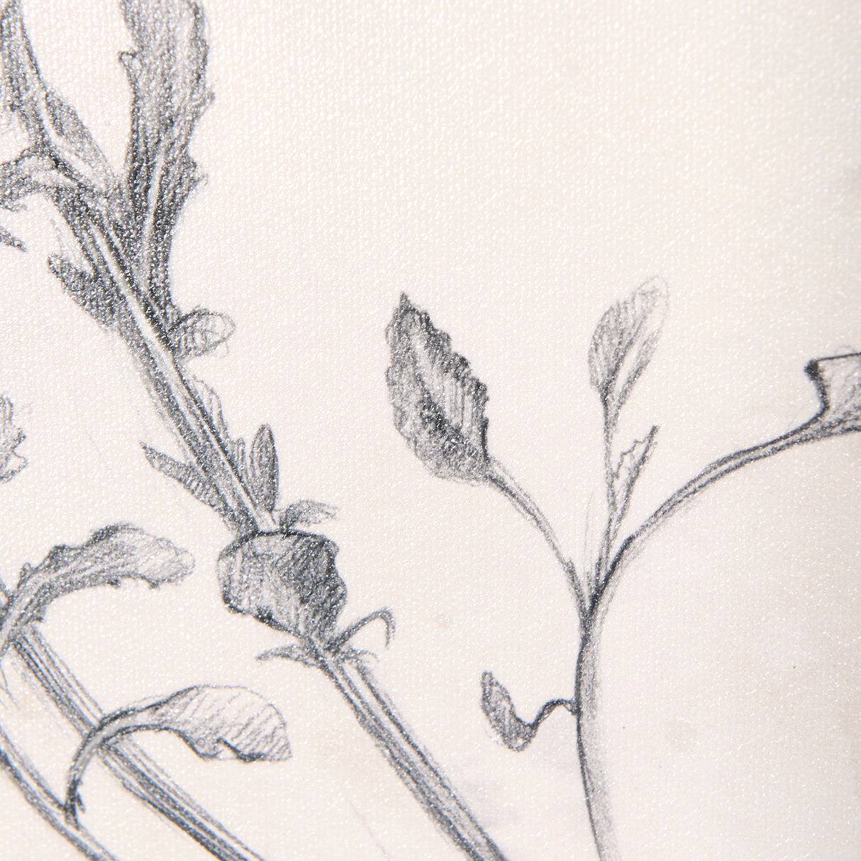 Chamomile Drawing I by Mercana Studio a Hand Embellished Textured Framed Art Print from Mercana - Luna Furniture