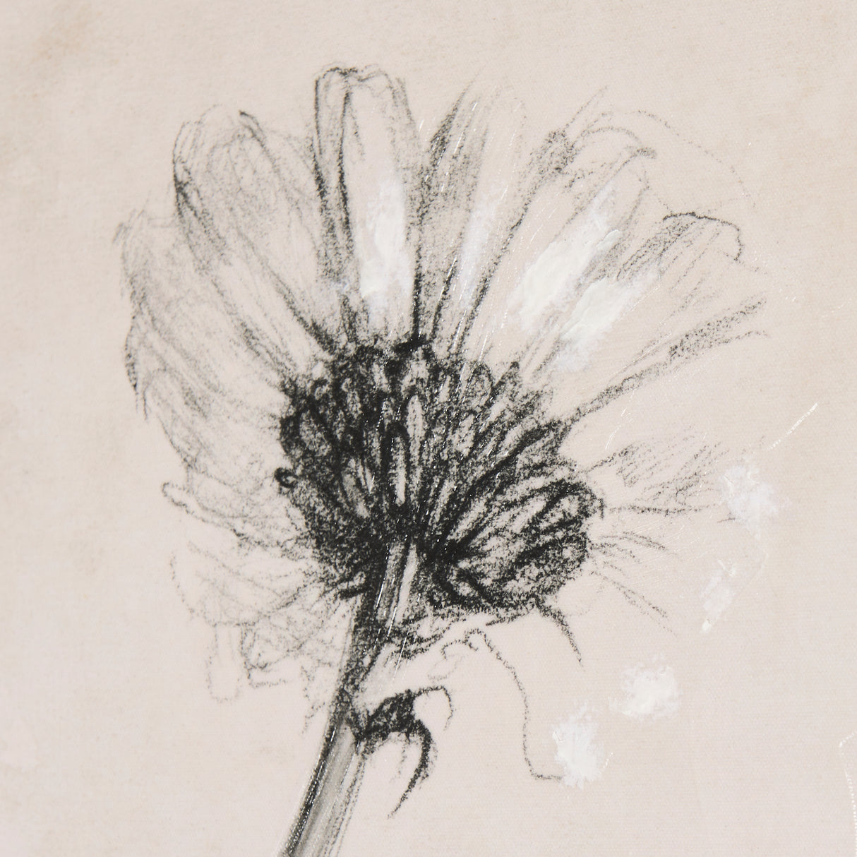 Chamomile Drawing I by Mercana Studio a Hand Embellished Textured Canvas from Mercana - Luna Furniture