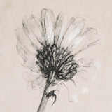 Chamomile Drawing I by Mercana Studio a Hand Embellished Textured Canvas from Mercana - Luna Furniture