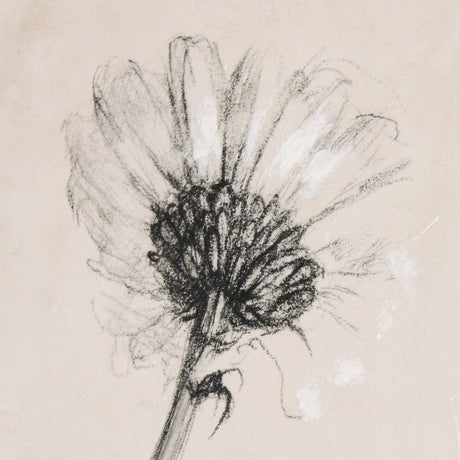 Chamomile Drawing I by Mercana Studio a Hand Embellished Textured Canvas from Mercana - Luna Furniture